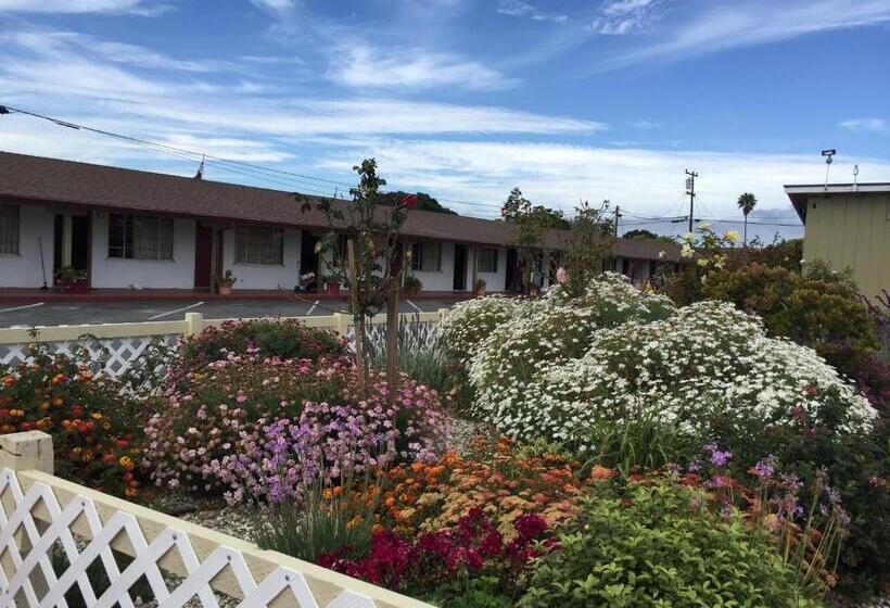 Номер Стандарт, Wagon Wheel Motel