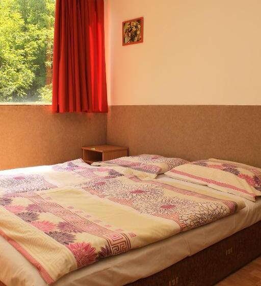 스탠다드 룸 공동 욕실, Touring & Sport Hotel Siófok
