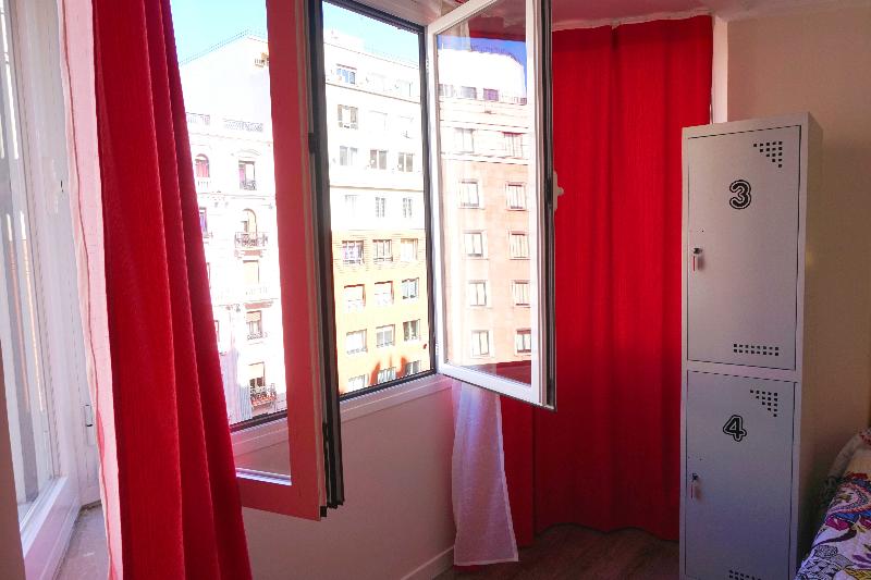 Номер Стандарт, Tulip Inn żyrardów