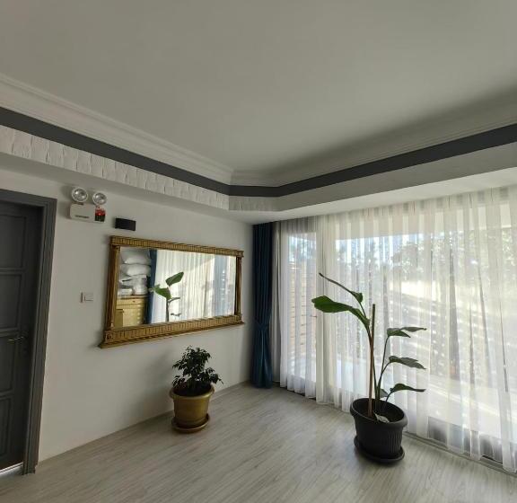 Номер Стандарт, Paşa Konağı Ayvalık