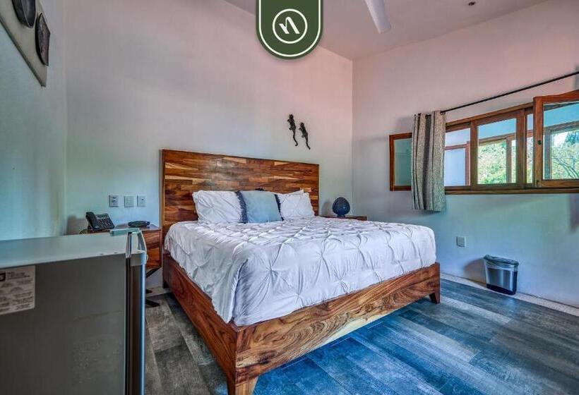 Sviitti, Bed And Breakfast Dormitory Room With Pool   Nuevo Vallarta