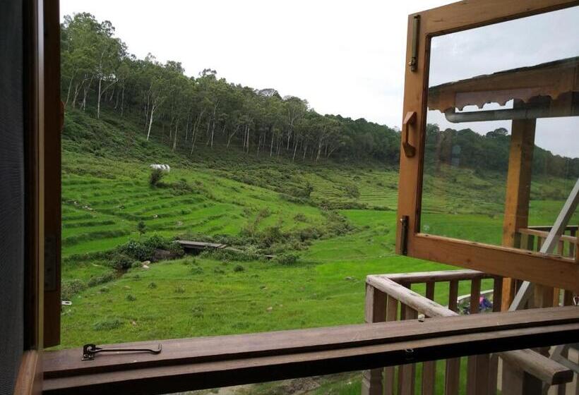 패밀리 스위트, Osho Himalayas Meditation Resort