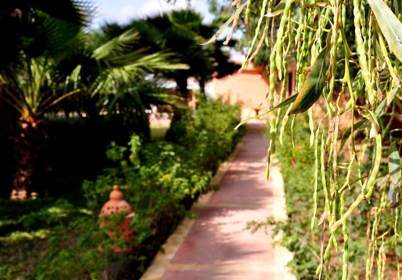 اتاق سوپریور خانوادگی, Riad Hamdani
