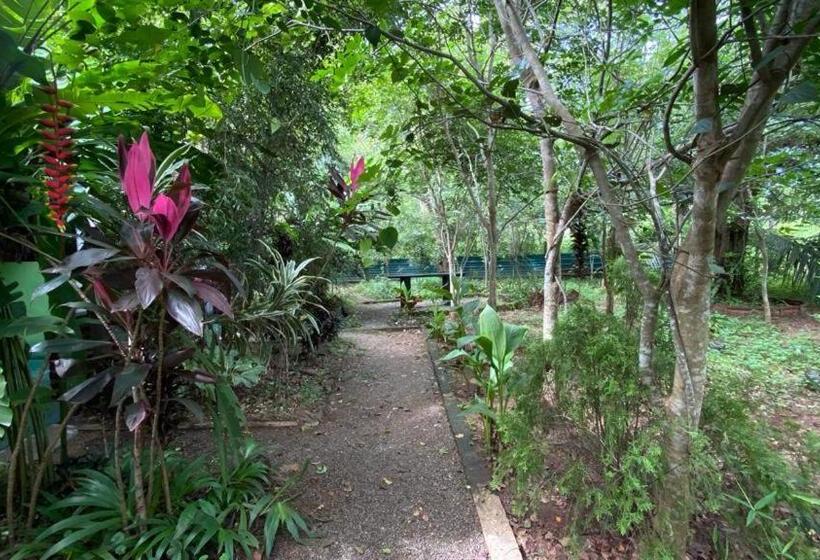 اتاق استاندارد یک نفره, Forest Villa Nature Resort