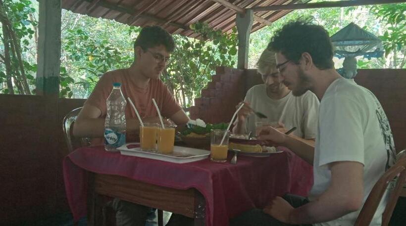 اتاق استاندارد, Forest Villa Nature Resort