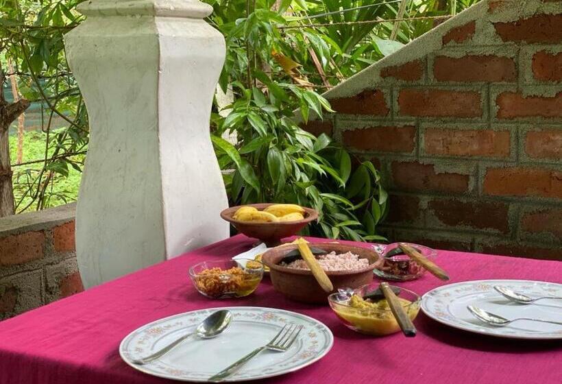 اتاق اکونومی, Forest Villa Nature Resort