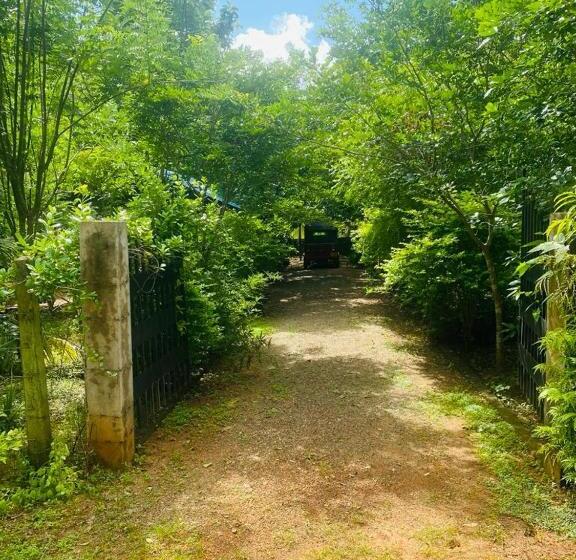 اتاق اکونومی, Forest Villa Nature Resort