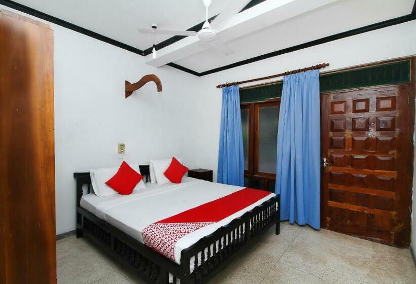 Quarto Estandar, New Okay
