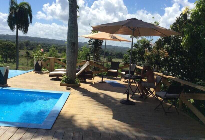 غرفة قياسية سرير كينج, Casa Lilly B&b Cabarete