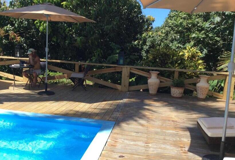 غرفة قياسية مطلة على الجبل, Casa Lilly B&b Cabarete