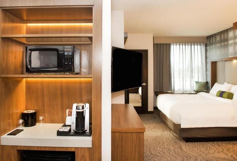 Suite Pat King, Springhill Suites By Marriott Bend