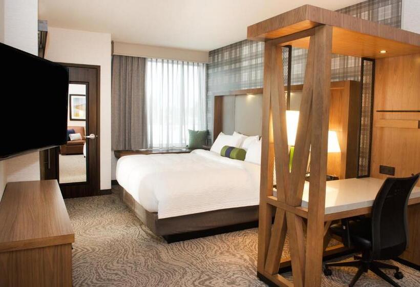 Standard Studio King Bed, Springhill Suites By Marriott Bend