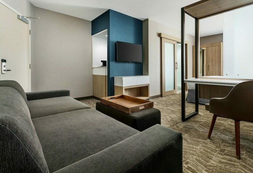 스위트, Springhill Suites By Marriott Belmont Redwood Shores