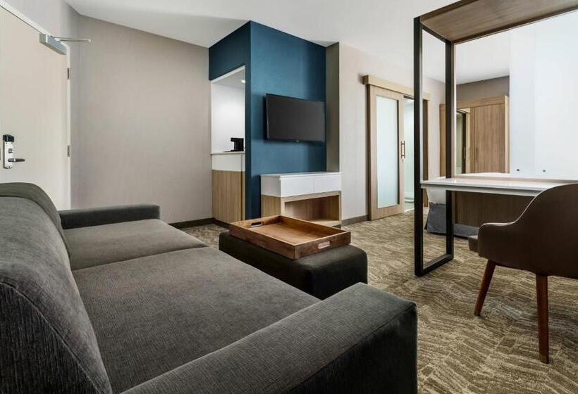 스위트 킹사이즈 침대, Springhill Suites By Marriott Belmont Redwood Shores