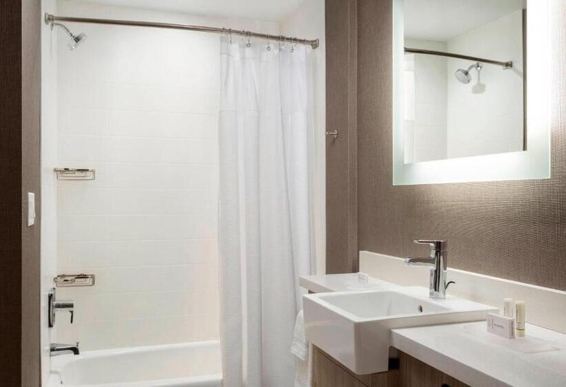 스위트, Springhill Suites By Marriott Belmont Redwood Shores