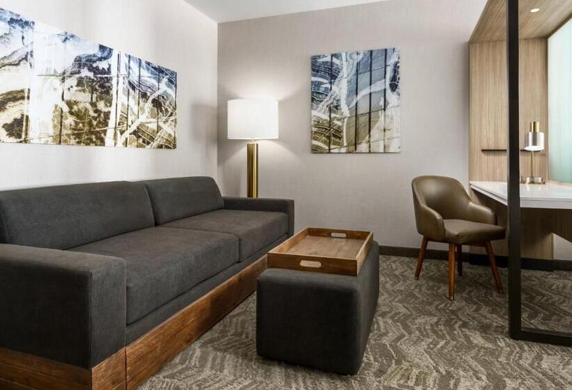 스위트, Springhill Suites By Marriott Belmont Redwood Shores