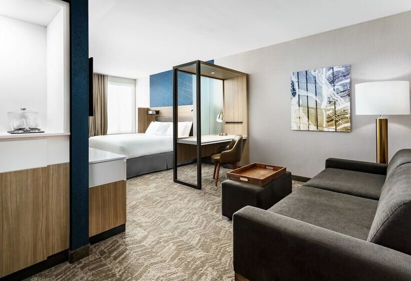 장애인을 위한 스위트, Springhill Suites By Marriott Belmont Redwood Shores