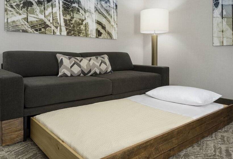 장애인을 위한 스위트, Springhill Suites By Marriott Belmont Redwood Shores