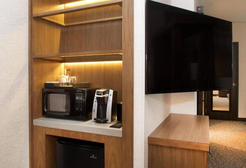 Suite Deluxe, Springhill Suites By Marriott Bend