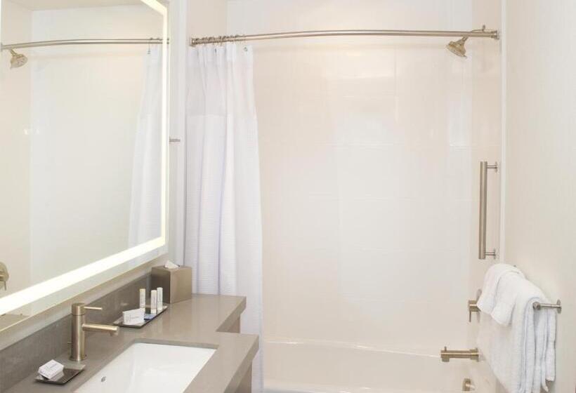 Suite Adaptată pentru Discapacitaţi, Springhill Suites By Marriott Bend