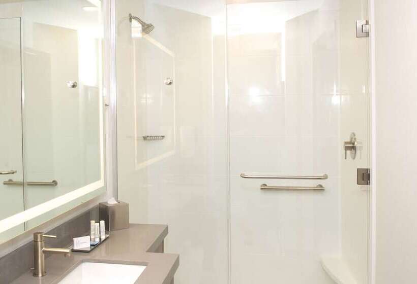 Suite Adaptată pentru Discapacitaţi, Springhill Suites By Marriott Bend