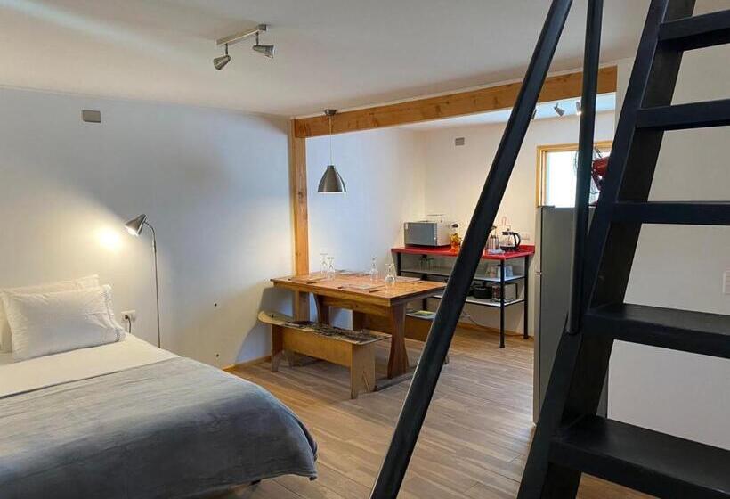 1 Szobás Deluxe Apartman, French Andes Apart Hostel
