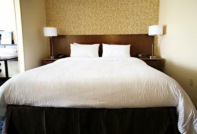 스탠다드 룸 킹사이즈 침대, Fairfield Inn & Suites By Marriott London