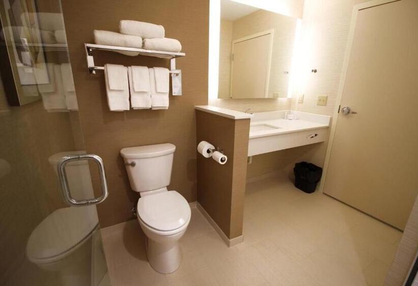 스탠다드 룸 킹사이즈 침대, Fairfield Inn & Suites By Marriott London