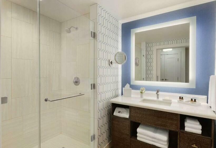 Standard-huone King-vuode, Fairmont Austin