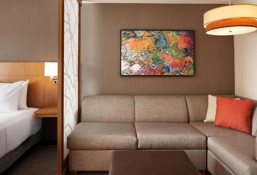 اتاق استاندارد با تخت بزرگ, Hyatt Place Knoxville/downtown