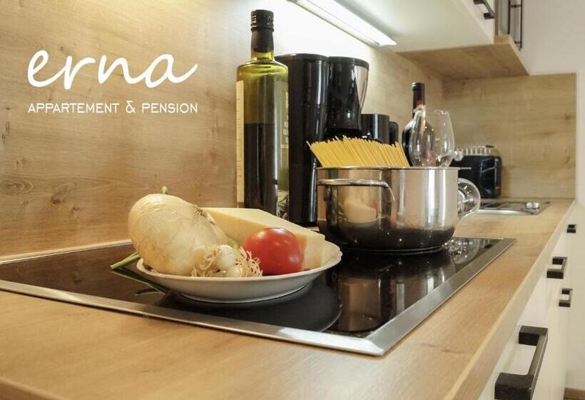 Апартаменты 1 Спальня с Видом, Pension Apartment Erna