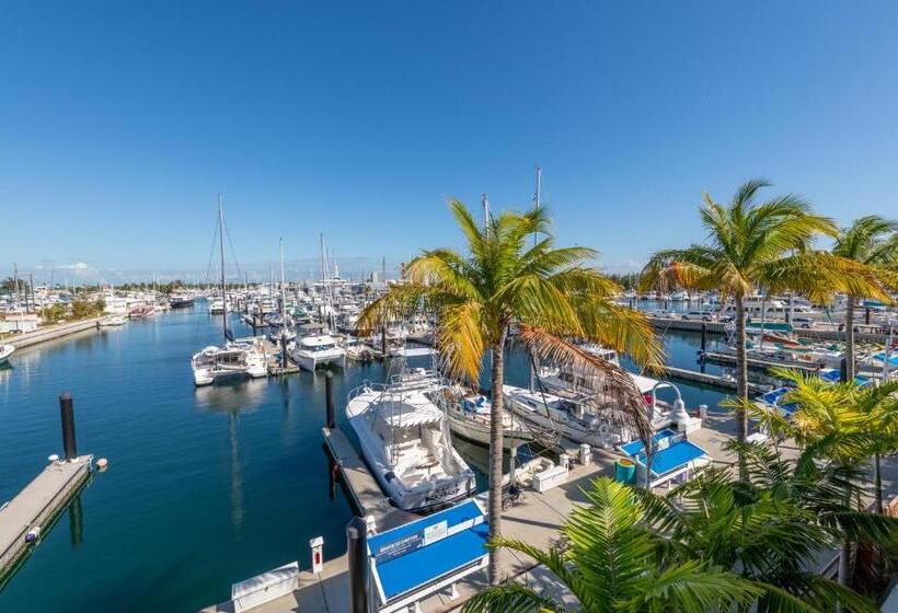 适合残疾人使用的标准间, The Perry Hotel & Marina Key West