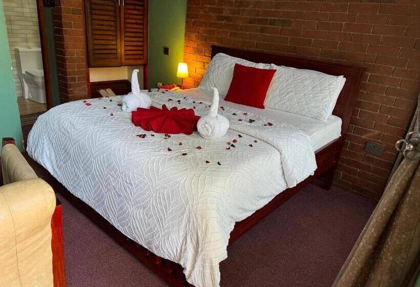 اتاق سوپریور, Vip Self Contained Single Room