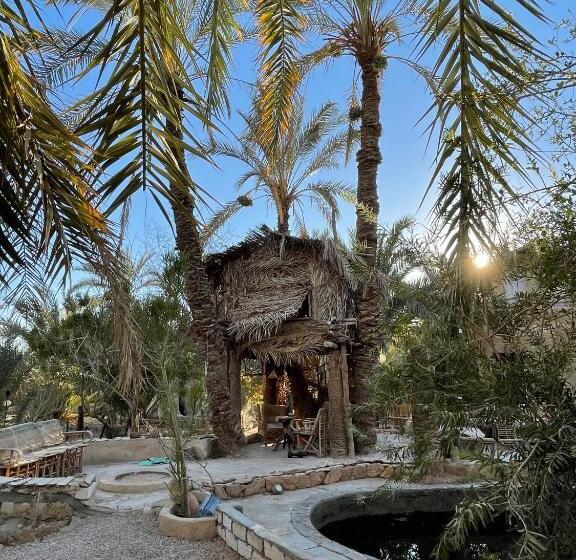 اتاق یک تخته با چشم‌انداز باغ, Shamofs Art Garden