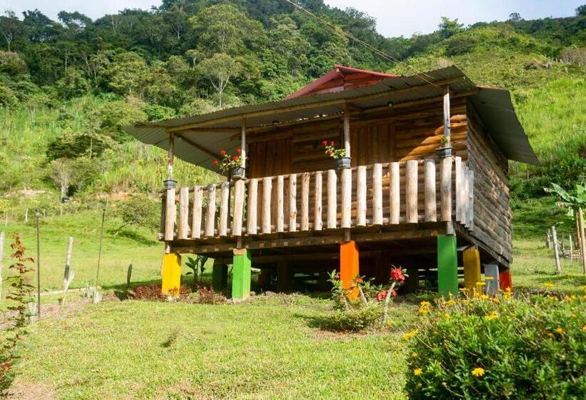 Номер Стандарт, Jardines Del Tatamá