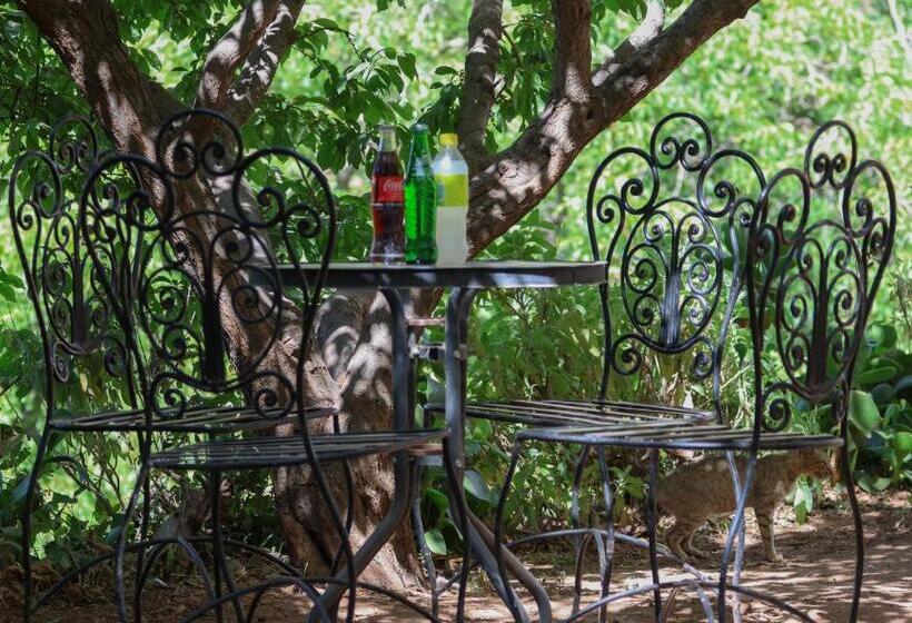 Quarto Estandar Vista Jardim, Gite Gougadir Imoughlad