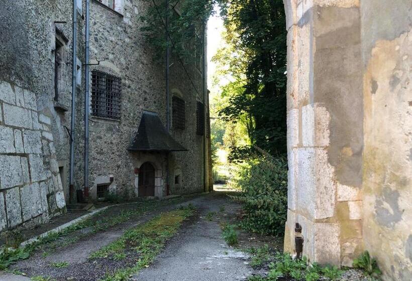 Апартаменты Superior 1 Спальня, Chambres Au Chateau Saint Geoire