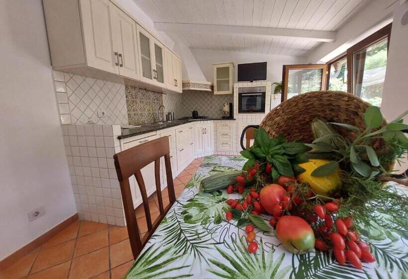 Апартаменты Superior 1 Спальня, Il Pozzillo Maison
