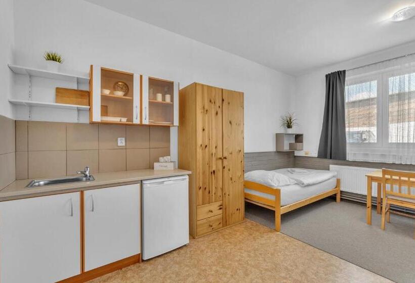 اتاق استاندارد, Apartmány A Ubytování Přemyslova, Hradec Králové