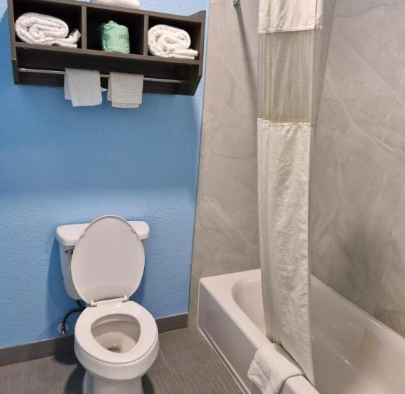 身障者適用キングサイズベッドルーム, Super Stay Inn And Suites   Iah Airport