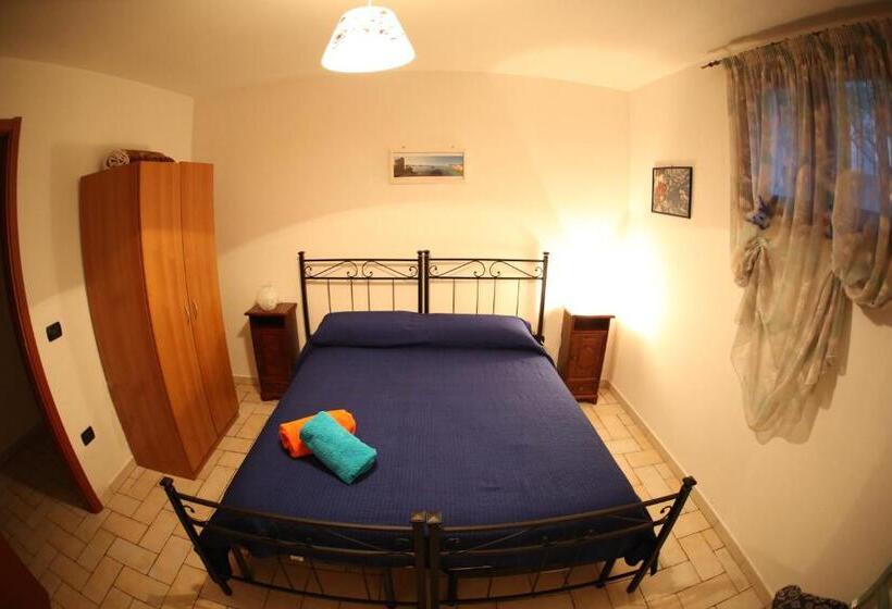 Номер Стандарт, B&b Ada
