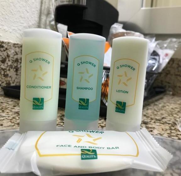 장애인을 위한 킹사이즈 침대 스탠다드 룸, Quality Inn