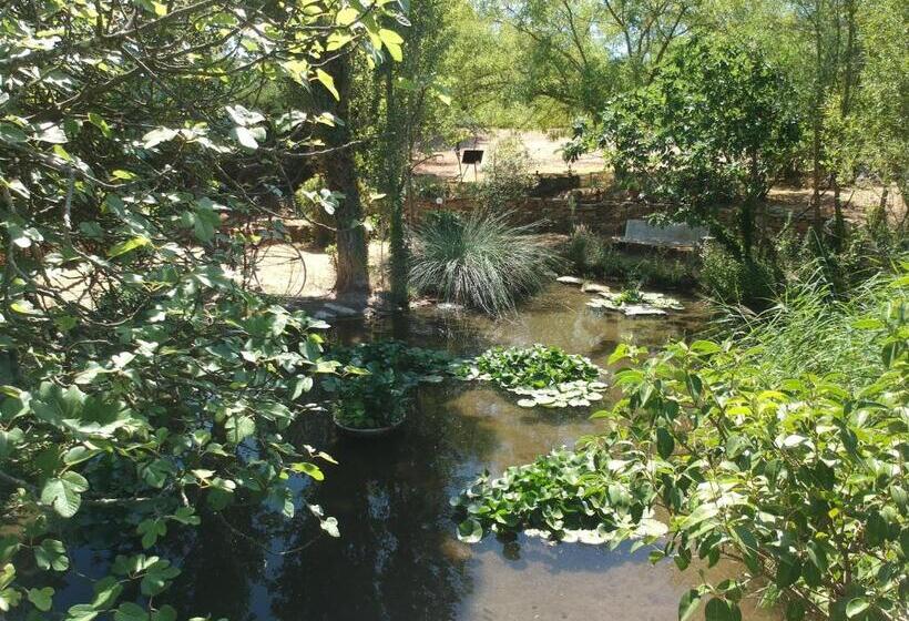 스탠다드 룸, Le Fer En Cèze