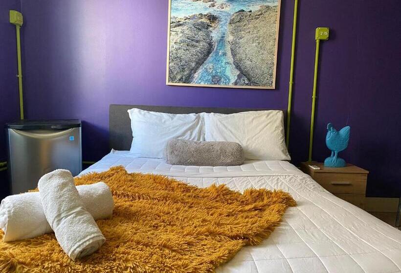 اتاق لوکس, Conturce Hostel