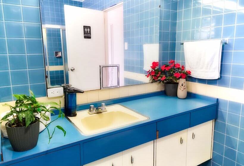 اتاق استاندارد با سرویس بهداشتی مشترک, Casa Jardin Del Mango