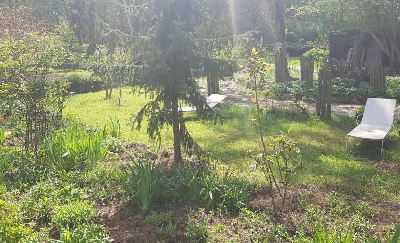 Номер Стандарт с Террасой, Le Jardin De Saint Jean