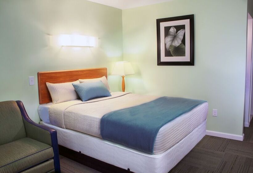 标准间, Chateau Suites