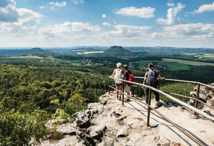 Номер Стандарт Индивидуальный, Pirnscher Hof   Hotel Garni