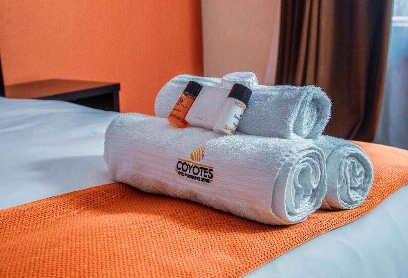 Номер Стандарт, Nelspruit Hotel And Conference Centre
