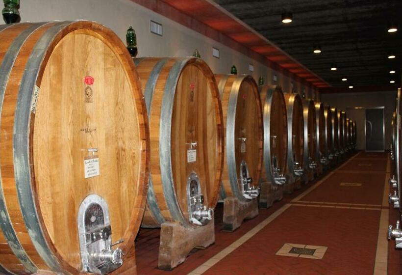Люкс Повышенной Комфортности, Cordella In Montalcino Wine Resort